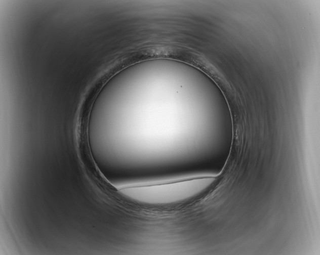 X0000088880722200706080740