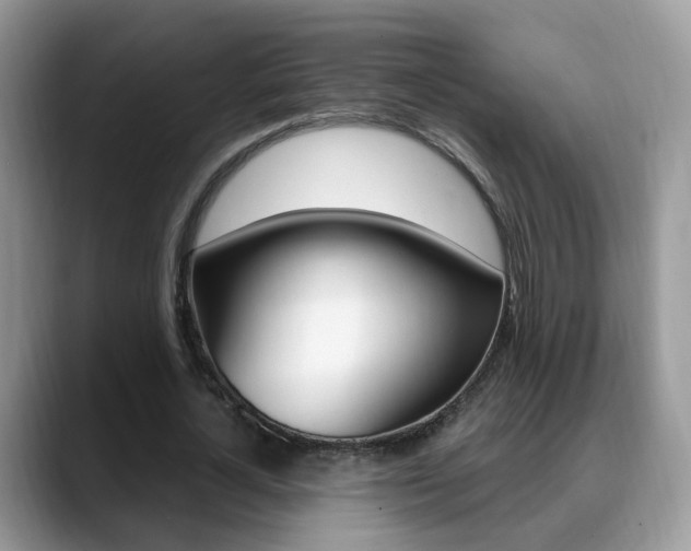 X0000088880724200706080740