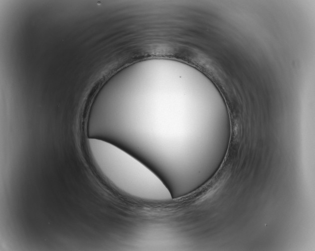 X0000088880725200706080740