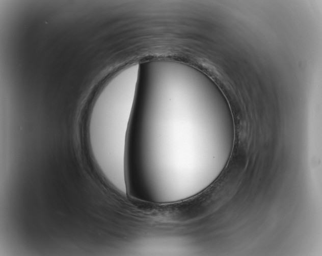 X0000088880727200706080740