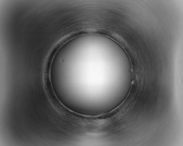 X0000088880728200706080740
