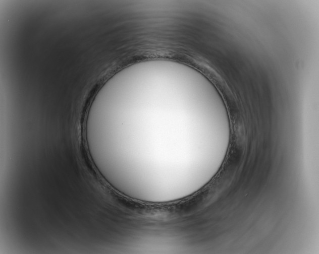 X0000088880729200706080740
