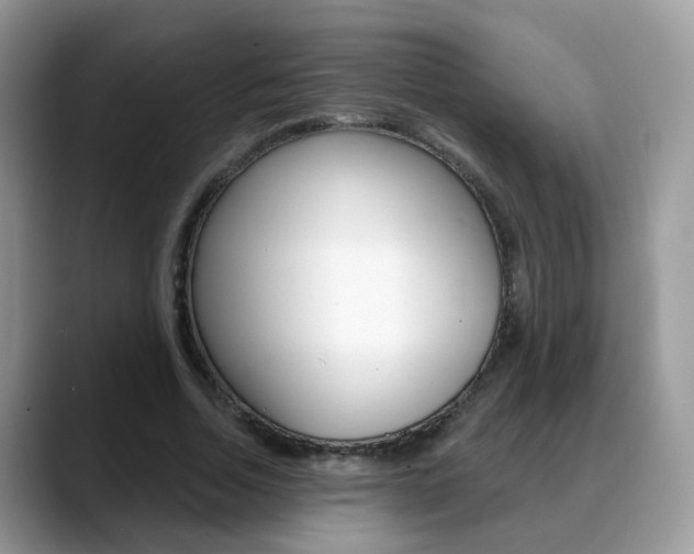 X0000088880730200706080740
