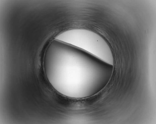 X0000088880731200706080740