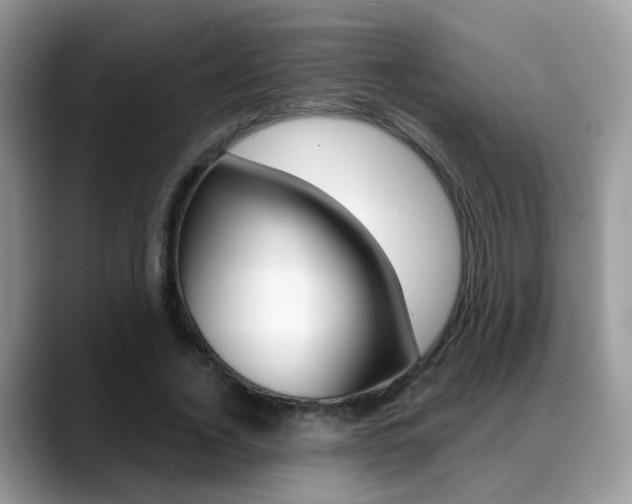X0000088880732200706080740