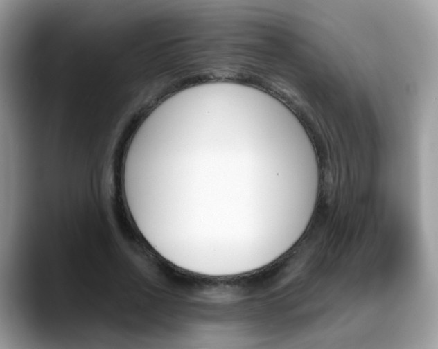 X0000088880734200706080740