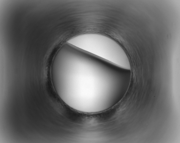 X0000088880735200706080740