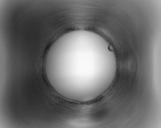 X0000088880737200706080740