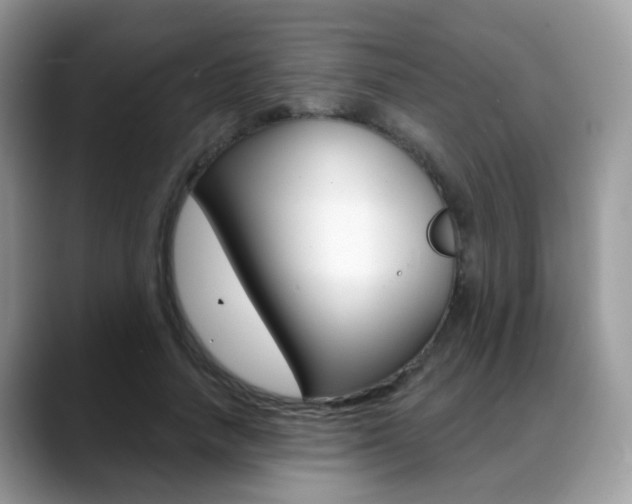 X0000088880738200706080740