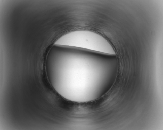 X0000088880739200706080740