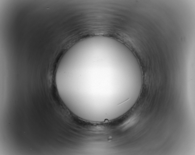 X0000088880741200706080740