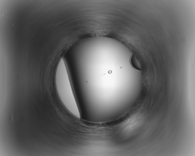 X0000088880742200706080740