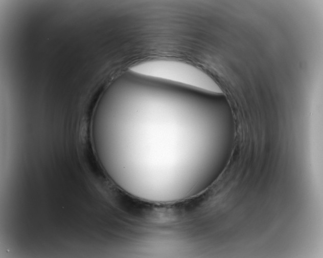 X0000088880744200706080740