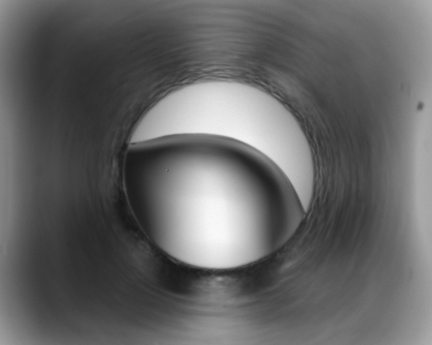 X0000088880748200706080741