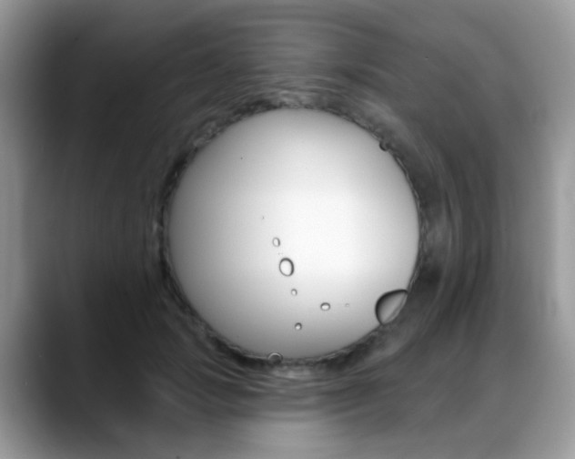 X0000088880749200706080741