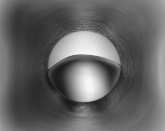 X0000088880750200706080741