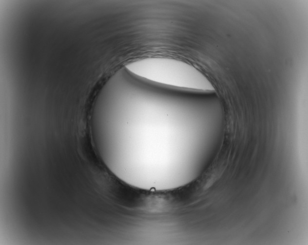 X0000088880751200706080741