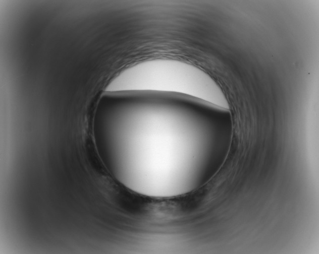 X0000088880752200706080741