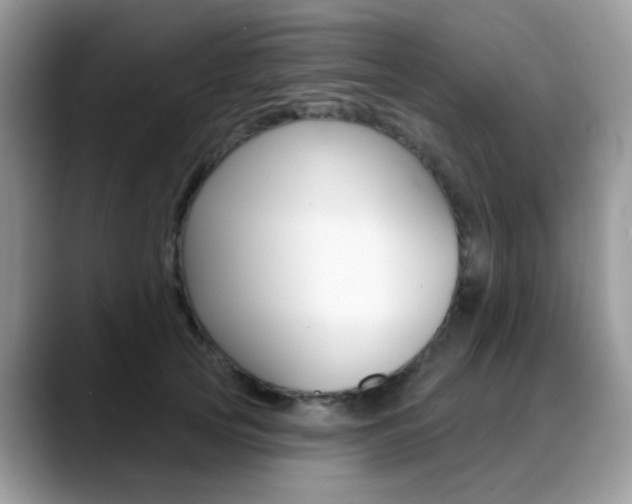 X0000088880753200706080741