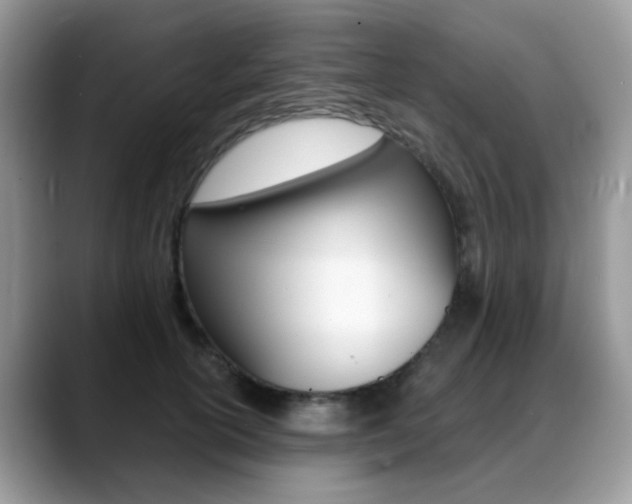 X0000088880754200706080741