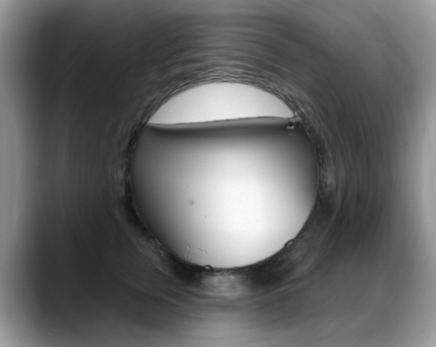 X0000088880759200706080741