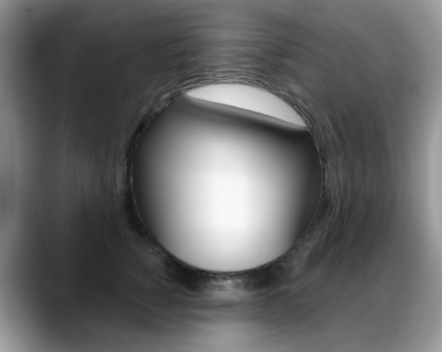 X0000088880760200706080741