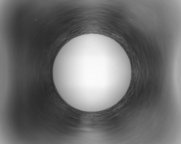 X0000088880762200706080741