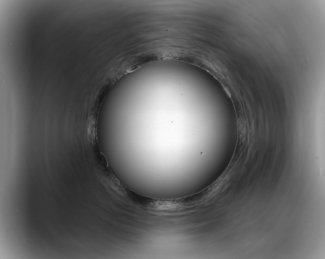X0000088880766200706080741