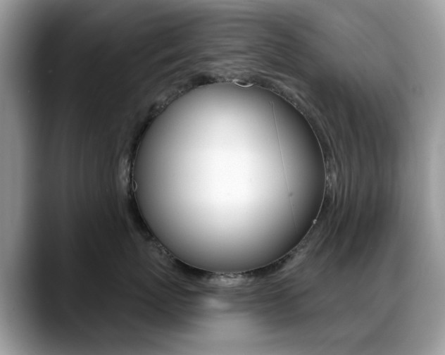 X0000088880767200706080741