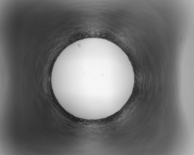 X0000088880769200706080740