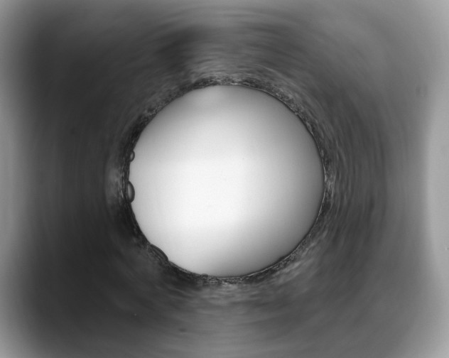 X0000088880772200706080740
