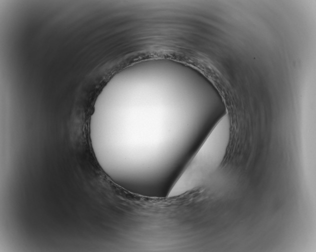 X0000088880773200706080740