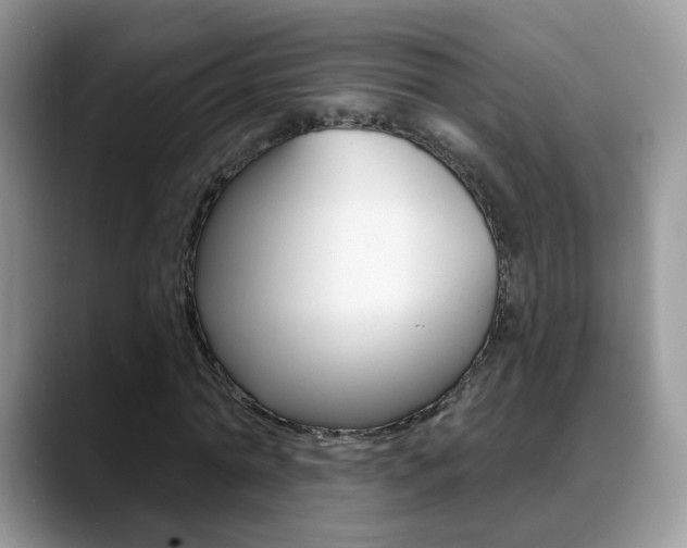 X0000088880774200706080740