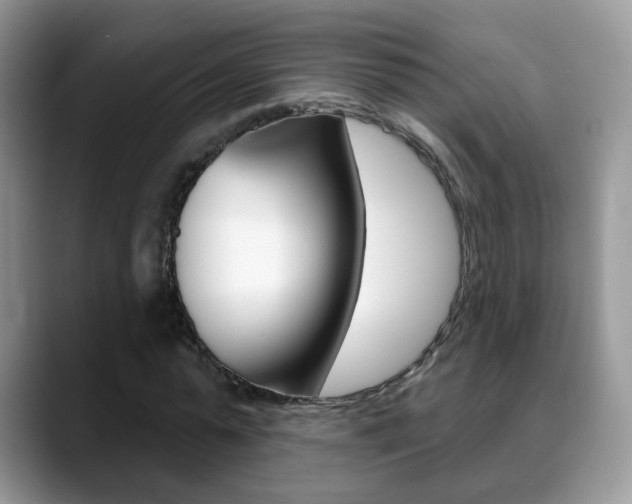 X0000088880775200706080740