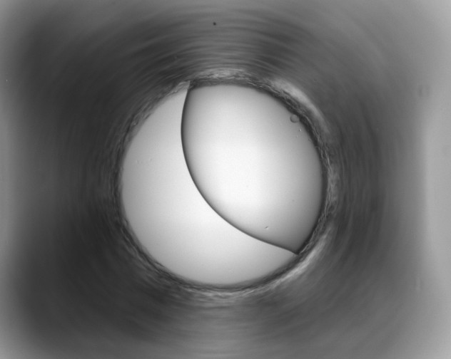 X0000088880777200706080740