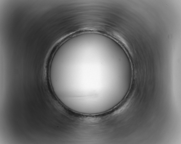 X0000088880779200706080740
