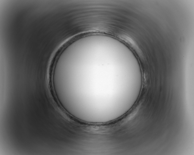 X0000088880780200706080740