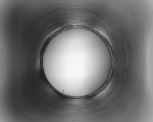 X0000088880782200706080740