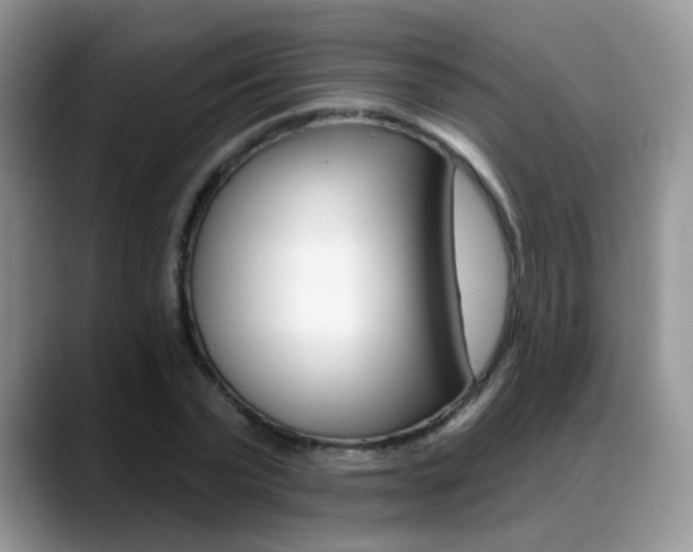 X0000088880783200706080740