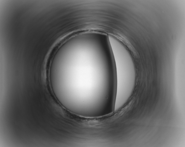 X0000088880784200706080740