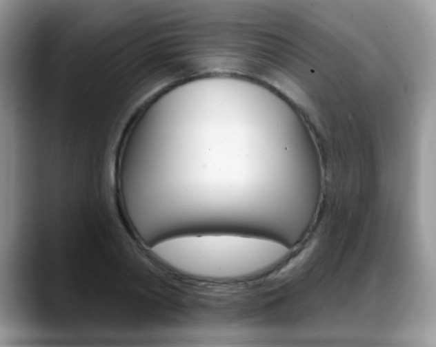 X0000088880790200706080740
