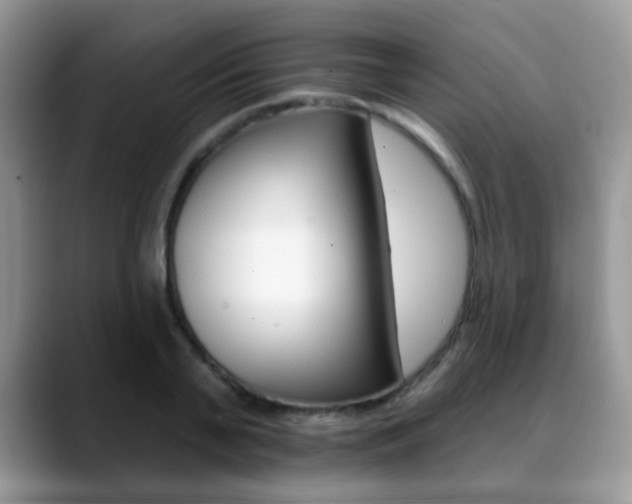 X0000088880791200706080740