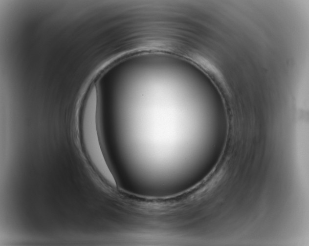 X0000088880792200706080740