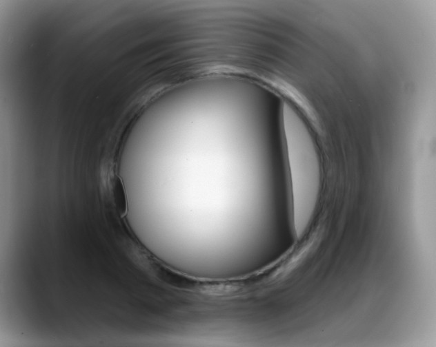 X0000088880793200706080740