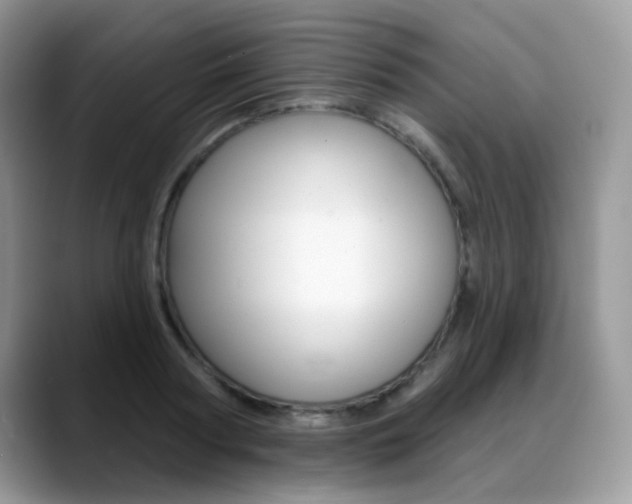 X0000088880794200706080740