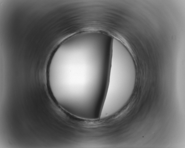 X0000088880795200706080740
