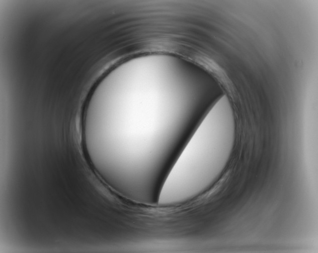 X0000088880796200706080740