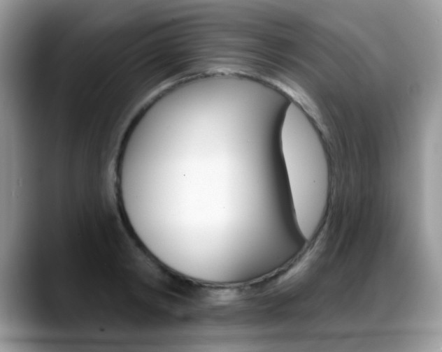 X0000088880798200706080740