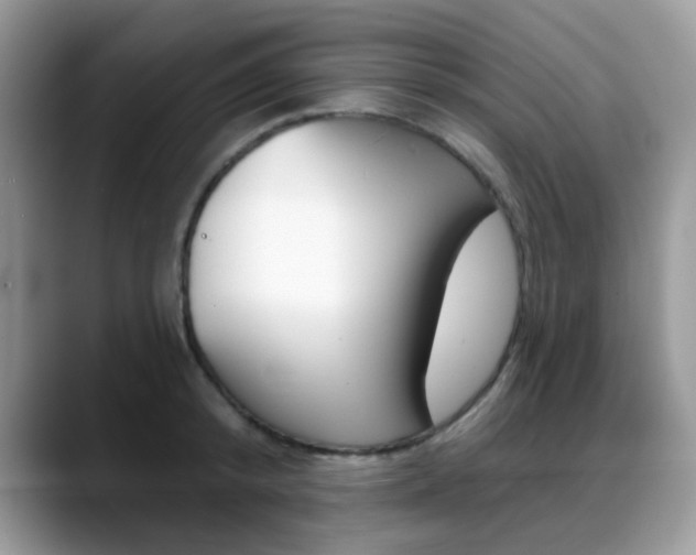 X0000088880800200706080740