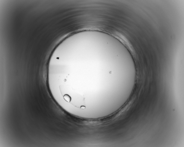 X0000088880804200706080740